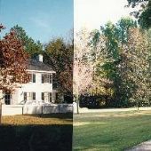 HOUSE #10002101