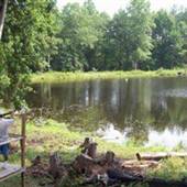 DeWitt's Outdoor Sports