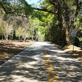 Airlie Road - Overview