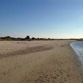 Masonboro Island