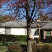 HOUSE #10002982