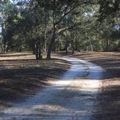 Pleasant Oaks - Roads