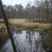 New Hanover County Landfill - Fishing Creek