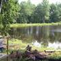 DeWitt's Outdoor Sports