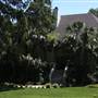 House #10053186