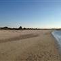 Masonboro Island