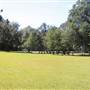 Wilmington Street Park