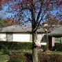 HOUSE #10002982