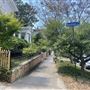 Haskins Alley