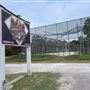 Bats and Brews Batting Cages