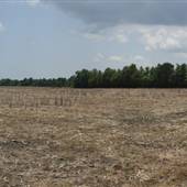 Trask Property - Blue Clay Farm