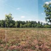 Danlin Farms