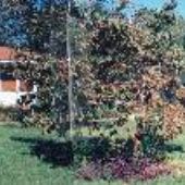 HOUSE #10002216