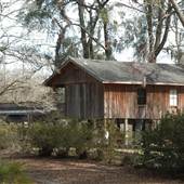House #10051959
