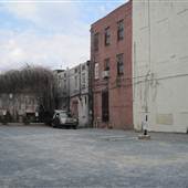 Alley - Quince