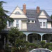 Camelia Cottage Bed & Breakfast