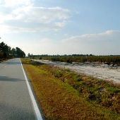 NC Highway 210