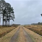 Penderlea Farms