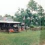 Highway 53 Auction Barn