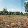 Danlin Farms
