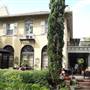 House #10056974