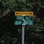 Shandy Lane - Overview