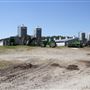 James Petterson Hog Farm