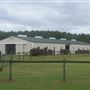A New Life Ranch LLC