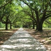 Pleasant Oaks - Overview
