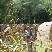 Tuscarora Nation of NC Indian Village