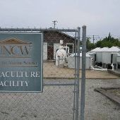 University of North Carolina at Wilmington - Center for Marine Science - Aquaculture Facility