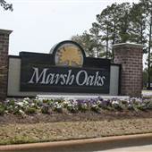Marsh Oaks - Overview