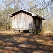 House #10075786