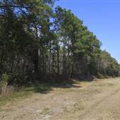 New Hanover County Farm (New Hanover County)