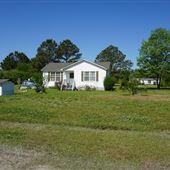 Sycamore Road - Overview