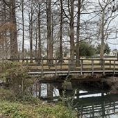 Wallace Park