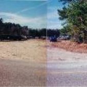 Buddy's Towing