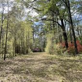 Ev-Henwood Nature Preserve