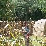 Tuscarora Nation of NC Indian Village