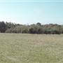 Ft. Fisher Landing Strip