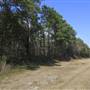New Hanover County Farm (New Hanover County)