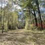 Ev-Henwood Nature Preserve