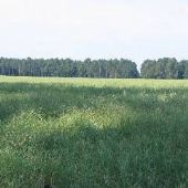 Faircloth Farm