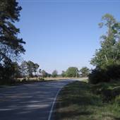 Governors Road
