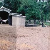 Peterson Stables