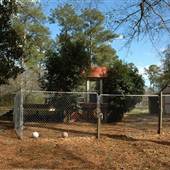 House #10051950