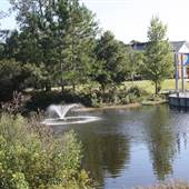 University of North Carolina at Wilmington - Leutze Lake