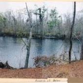 Northeast Cape Fear River (Holly Shelter)
