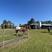 Horton's Rehab Ranch, Inc