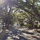 Live Oak Drive
